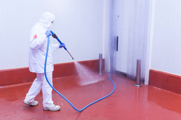 Best Playground Equipment Cleaning  in Loudon, TN